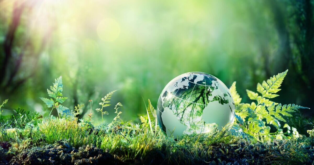 Globe on a forest floor